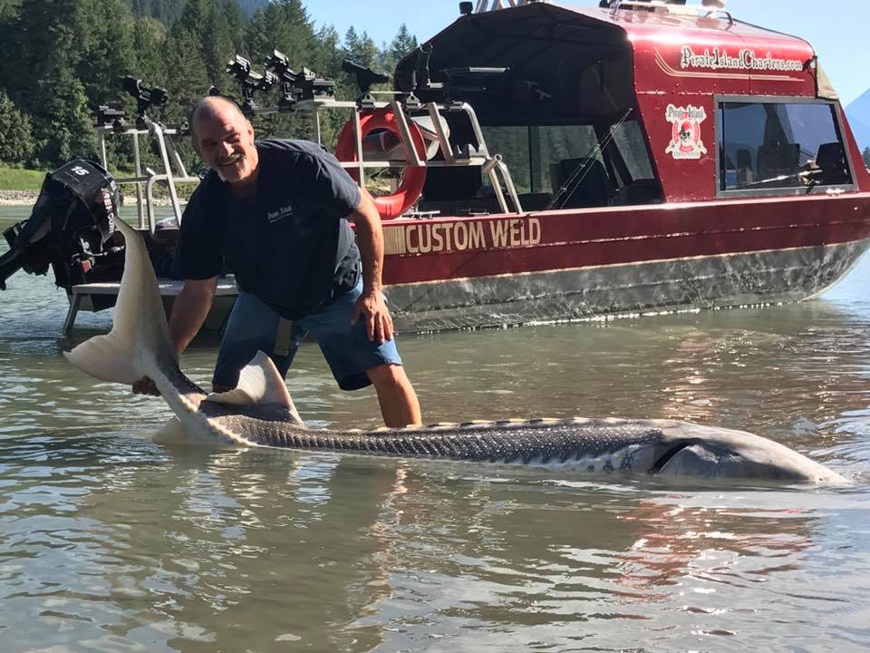 big-sturgeon-fraser-river