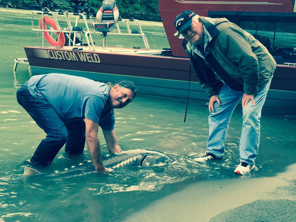 sturgeon-fishing-hope-bc (3)
