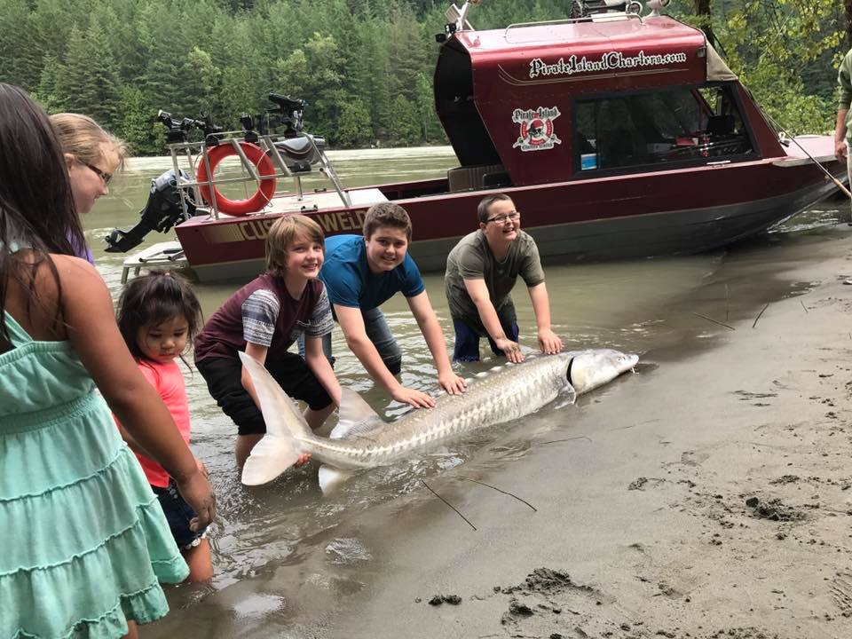 meeting-sturgeon-fraser-river