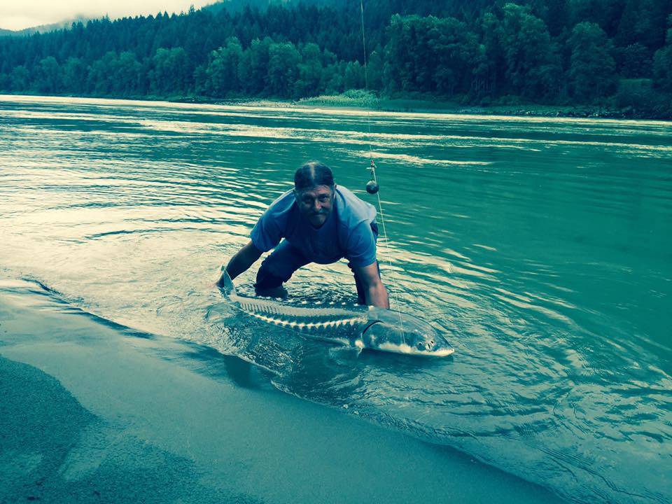 sturgeon-fishing-hope-bc (2)