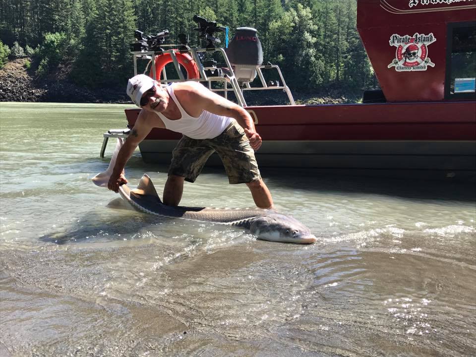 sturgeon-fishing-guide-pirate-island